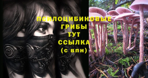 тгк Белоозёрский