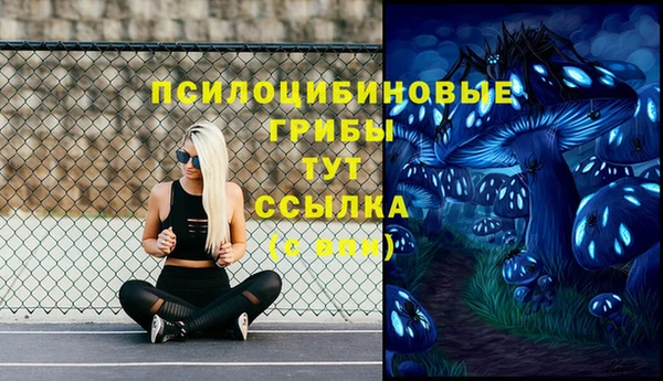 метадон Беломорск